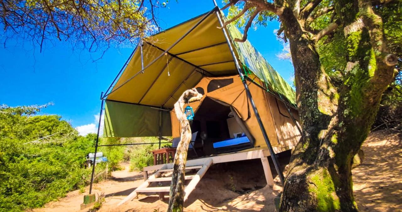 Back Of Beyond Dune Camp Yala Hotel Exterior photo