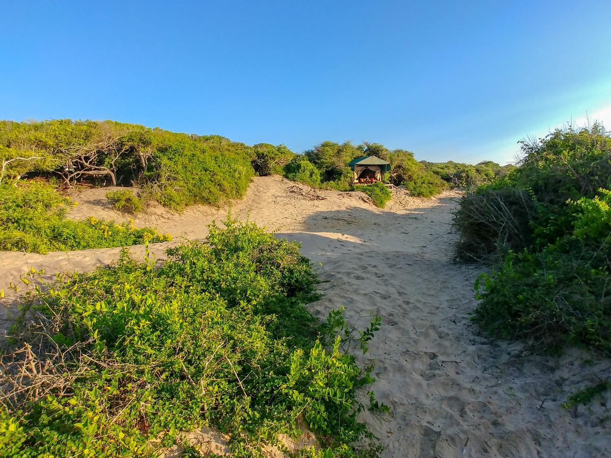 Back Of Beyond Dune Camp Yala Hotel Exterior photo