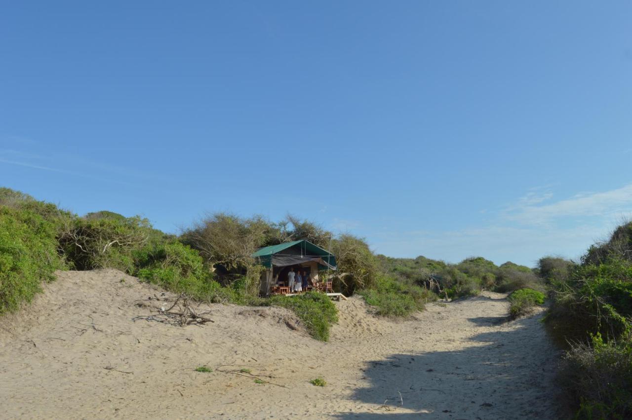 Back Of Beyond Dune Camp Yala Hotel Exterior photo